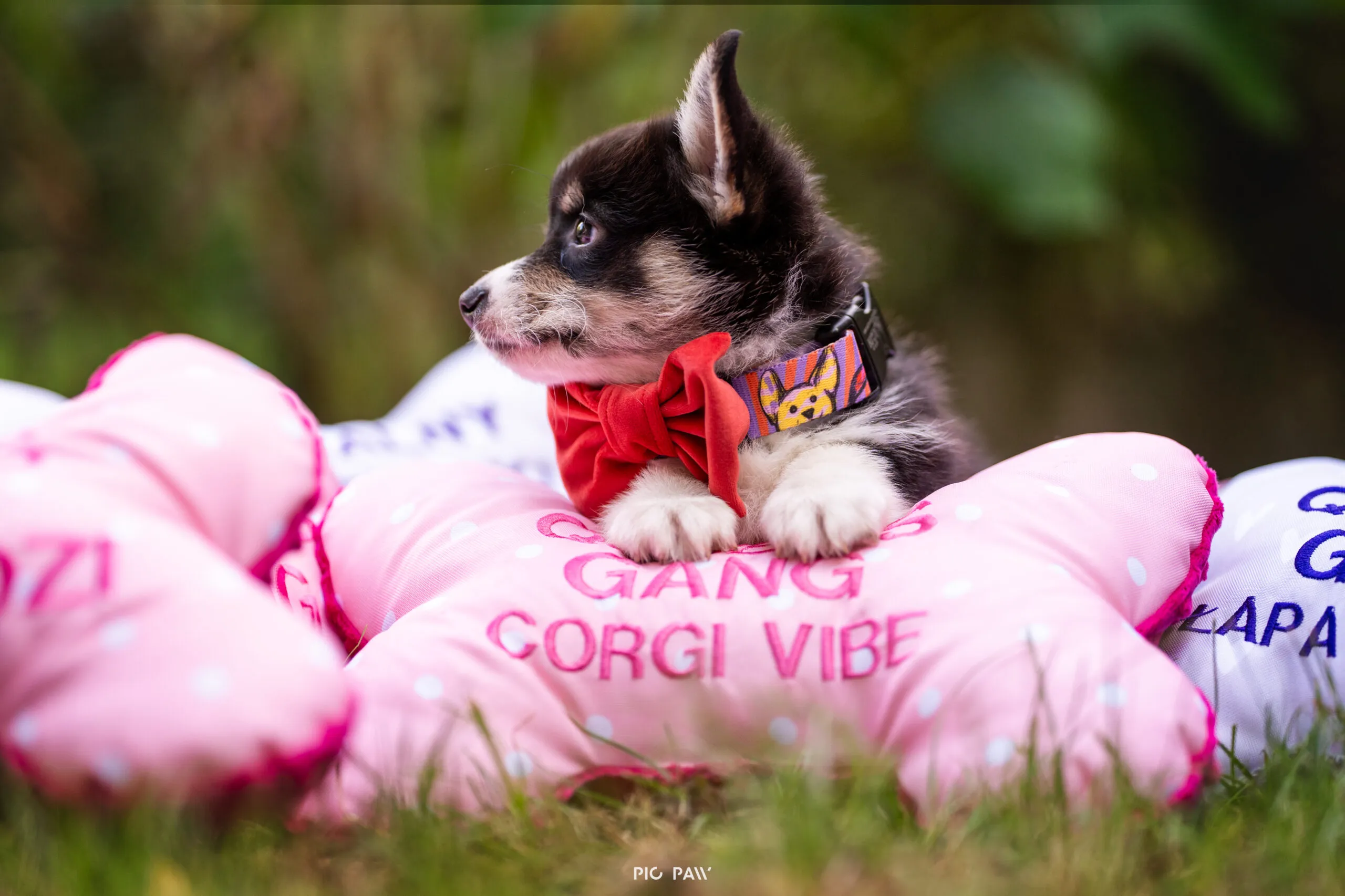 Baby Krecik Queen's Gang - zdjęcie 3