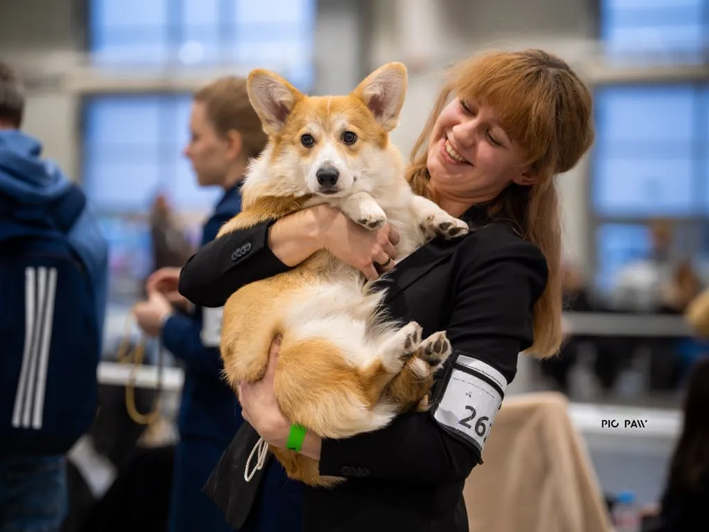 Pseudonim Byku Queen's Gang - zdjęcie 1