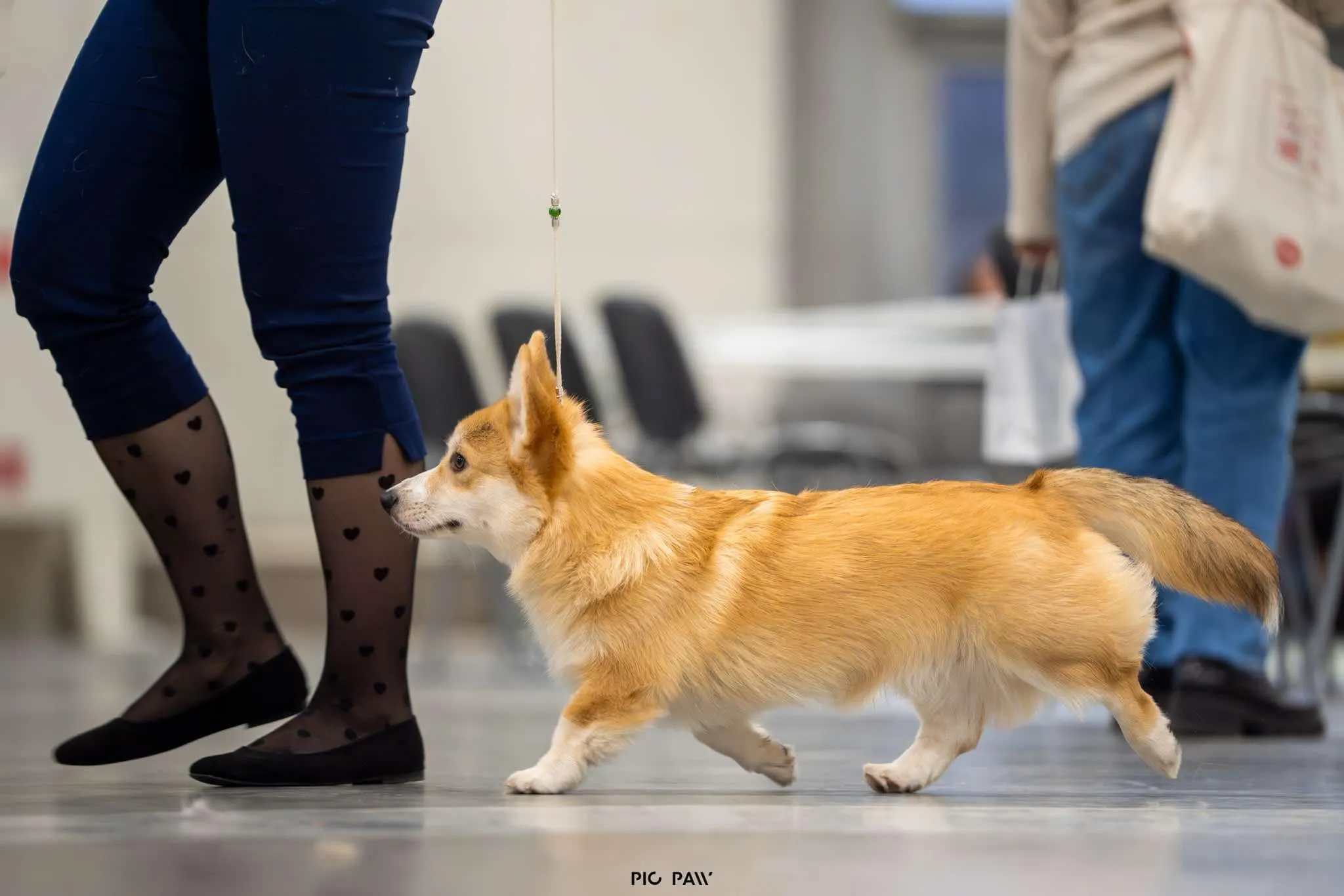 Pseudonim Byku Queen's Gang - zdjęcie 2