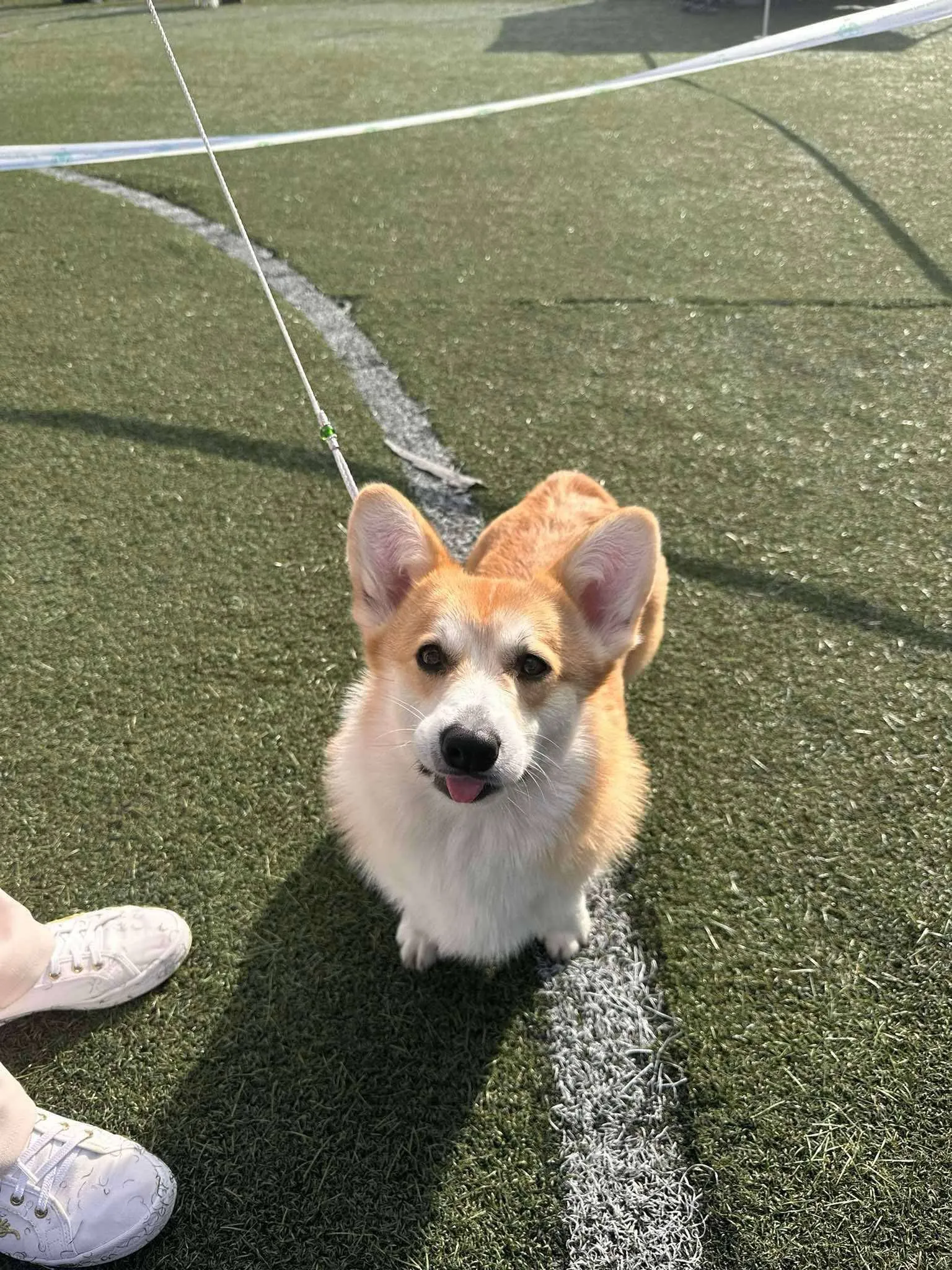 Pseudonim Byku Queen's Gang - zdjęcie 2