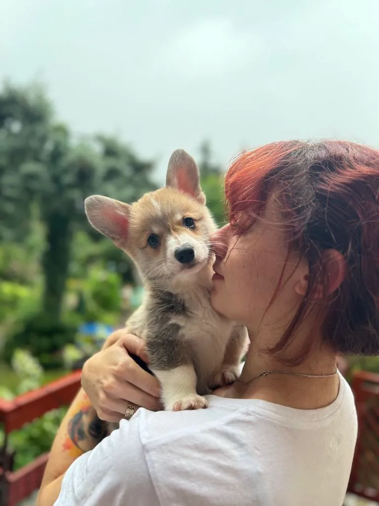 Pseudonim Pablo Queen's Gang - zdjęcie główne