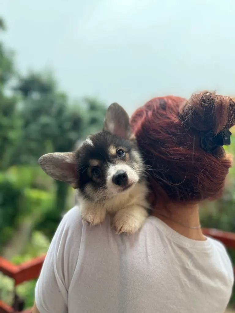 Pseudonim Jordan Queen's Gang - zdjęcie główne