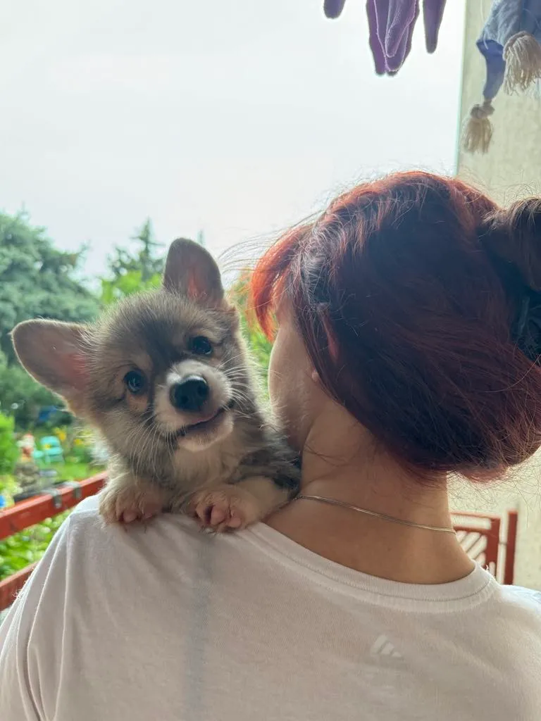 Pseudonim Tyrion Queen's Gang - zdjęcie główne