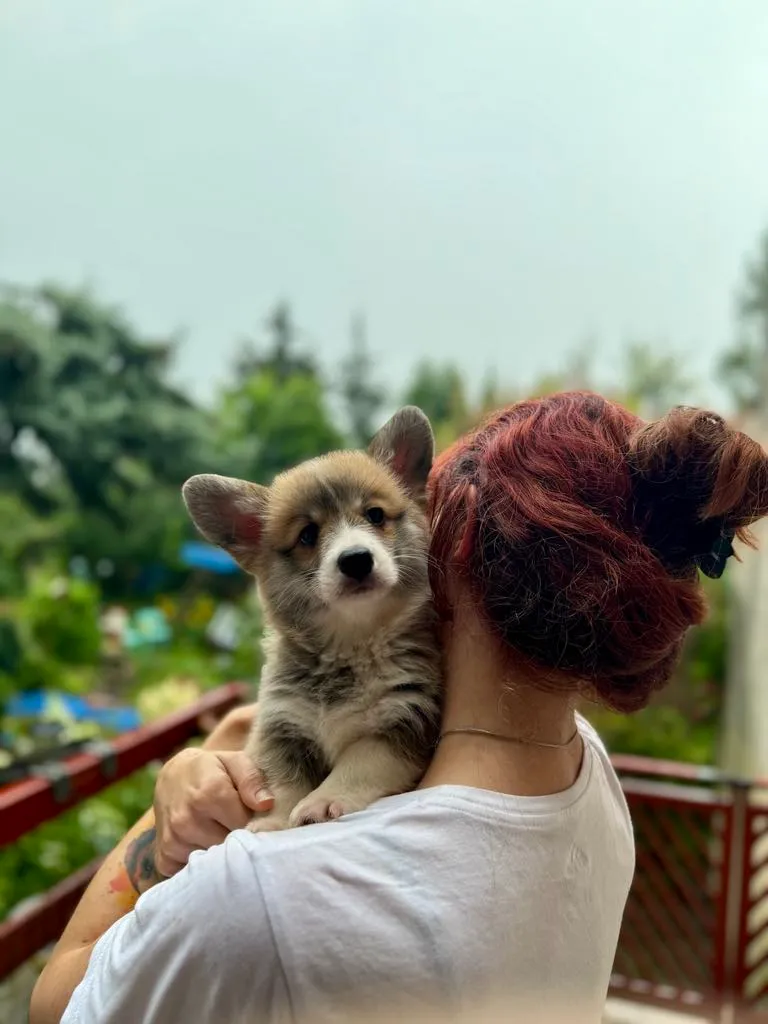 Pseudonim Trufla Queen's Gang - zdjęcie główne