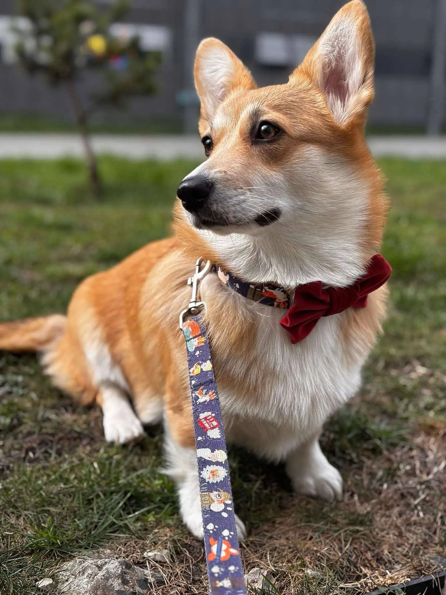 Pseudonim Jagódka Queen's Gang - zdjęcie 1