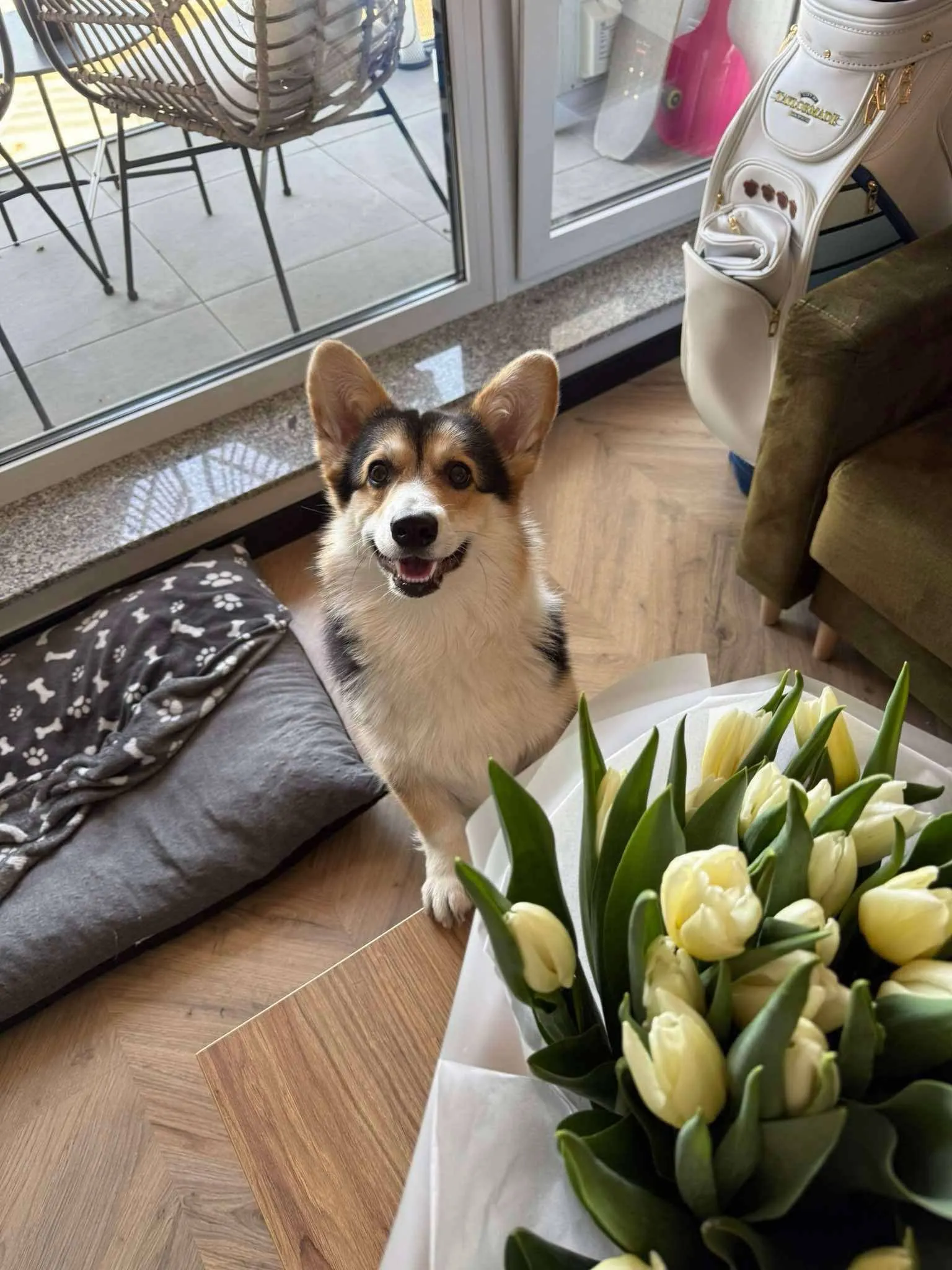 Pseudonim Jordan Queen's Gang - zdjęcie 1