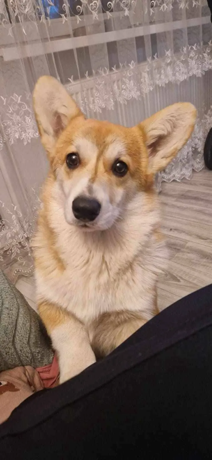 Pseudonim Pablo Queen's Gang - zdjęcie 1