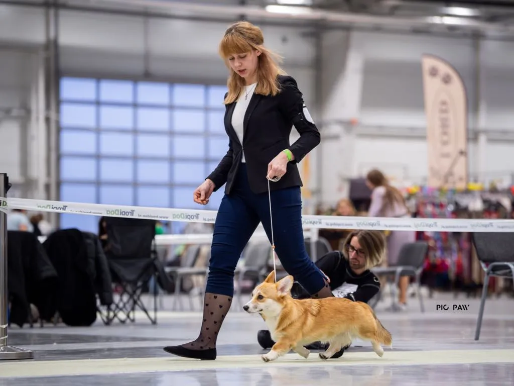 Pyrka von Plątonogi - zdjęcie 5